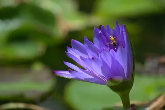 教学演示与学习路径预览
